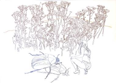 Malgorzata Jankowska „Untitled XIII“ Filzstift auf Papier, 2006, 50 X 70 cm